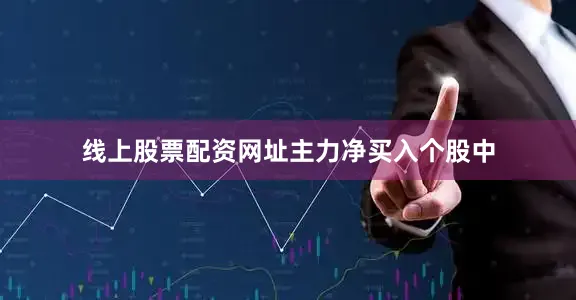 线上股票配资网址　　主力净买入个股中