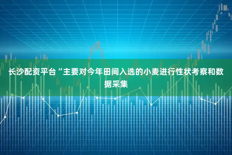 长沙配资平台“主要对今年田间入选的小麦进行性状考察和数据采集