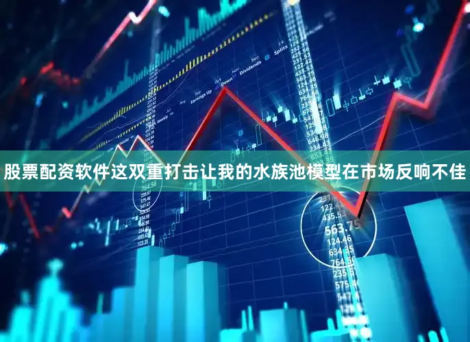 股票配资软件这双重打击让我的水族池模型在市场反响不佳