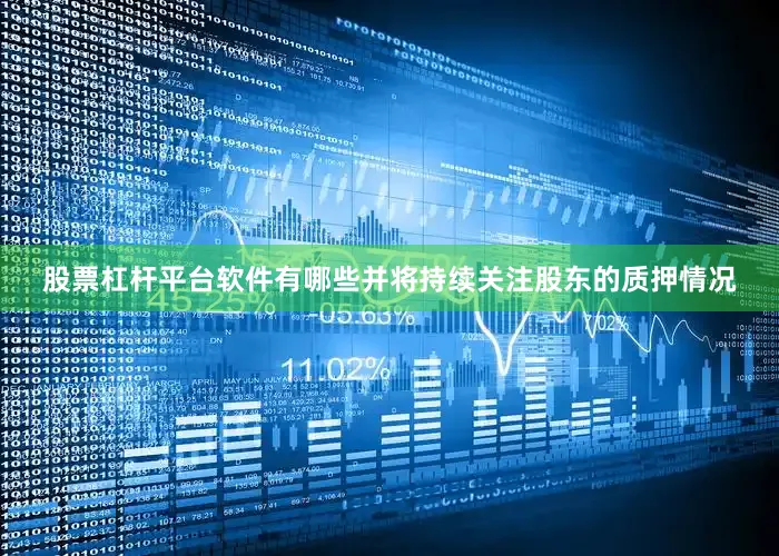 股票杠杆平台软件有哪些并将持续关注股东的质押情况
